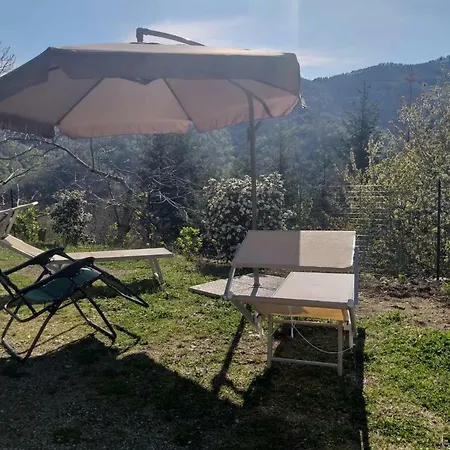 Villa Borgo *